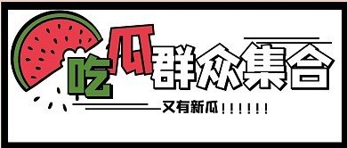 每日看料