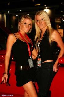 巨乳在线视频分类,揭秘不同风格与喜好