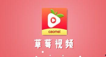 在线视频草莓,探寻甜蜜果实背后的故事