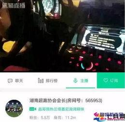 醉酒在线视频播放,揭秘醉酒在线视频的狂欢世界