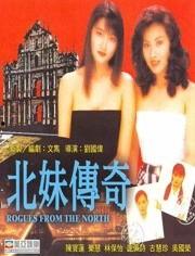 北妹传奇在线视频,揭秘网络红人的崛起之路