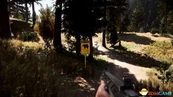 开放的野外在线视频,实时捕捉大自然的壮丽瞬间