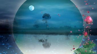 水月色在线视频播放,沉浸式在线视频盛宴，带你领略视觉与听觉的双重享受