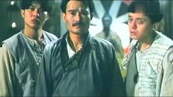 阴阳尸林正英在线视频,正英探秘阴阳界，惊悚悬疑在线揭秘