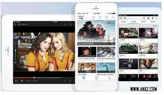 在线视频无码人,探索数字时代的真实与隐私边界