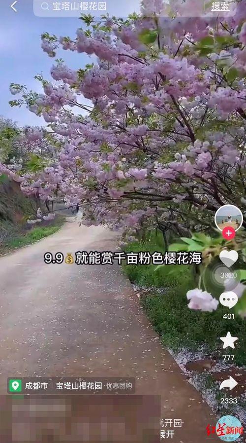 樱花视频在线视频播放,在线观看，畅享视听盛宴