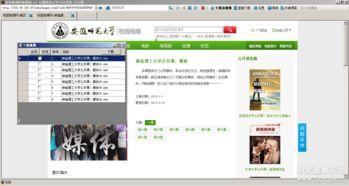 学校在线视频 破解进度,揭秘校园科技新动态